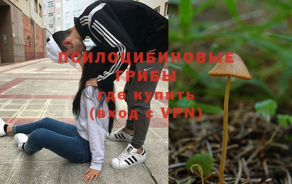 сатива Вязники