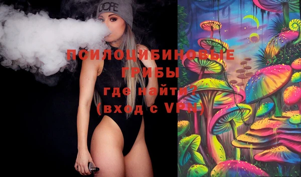 сатива Вязники