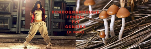 сатива Вязники