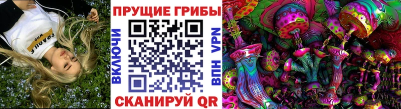 наркота  Москва  Псилоцибиновые грибы мухоморы 