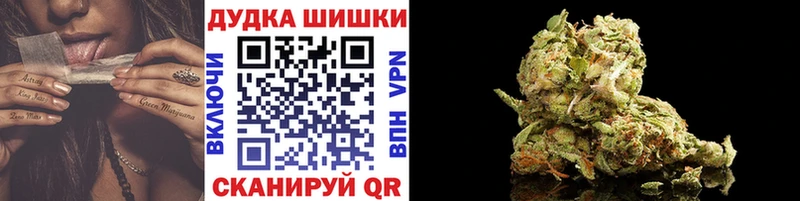 Бошки Шишки ГИДРОПОН  Москва 